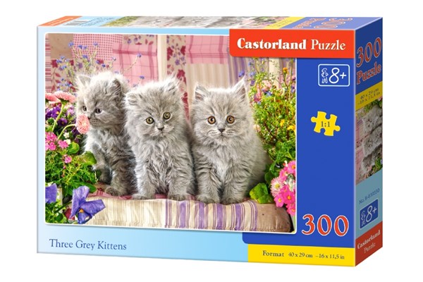 Castorland (B-030330) - "Three Grey Kittens" - 300 brikker puslespil