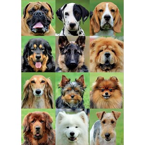 Educa (17963) - "Dogs collage" - 500 brikker puslespil