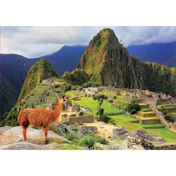 Educa (17999) - "Machu Picchu, Perú" - 1000 brikker puslespil
