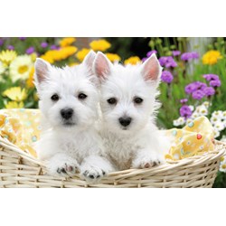 Ravensburger (13074) - "West Highland White Terriers" - 300 brikker puslespil