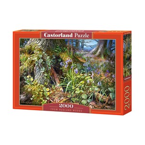 Castorland (C-200764) - "From Rusland Woods" - 2000 brikker puslespil