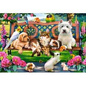 Castorland (C-104406) - "Pets in the Park" - 1000 brikker puslespil