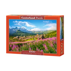 Castorland (C-104512) - "Hala Gasienicowa, Tatras, Poland" - 1000 brikker puslespil