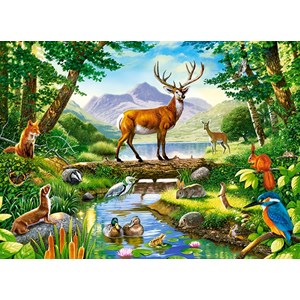 Castorland (B-030408) - "Woodland Harmony" - 300 brikker puslespil