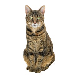 Chronicle Books / Galison (9780735360136) - "Queen of the Stacks" - 650 brikker puslespil