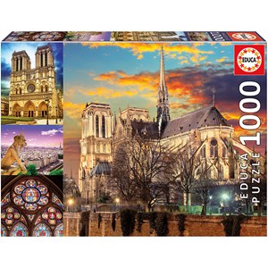 Educa (18456) - "Notre Dame Collage" - 1000 brikker puslespil