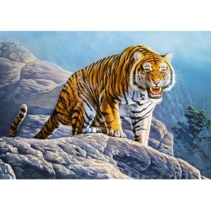 Castorland (B-53346) - "Tiger on the Rocks" - 500 brikker puslespil