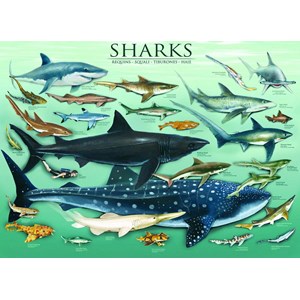 Eurographics (6000-0079) - "Sharks" - 1000 brikker puslespil