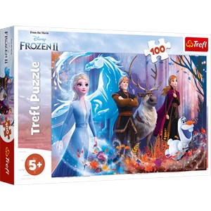 Trefl (16366) - "Magic of Frozen" - 100 brikker puslespil