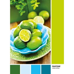 Clementoni (39492) - "Juicy Limes" - 1000 brikker puslespil