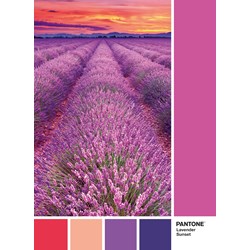 Clementoni (39493) - "Lavender sunset" - 1000 brikker puslespil