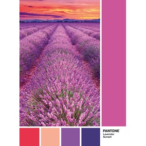 Clementoni (39493) - "Lavender sunset" - 1000 brikker puslespil