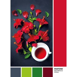 Clementoni (39494) - "Red Hibiscus Aroma" - 1000 brikker puslespil