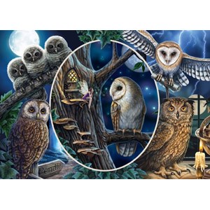 Schmidt Spiele (59667) - Lisa Parker: "Mysterious Owls" - 1000 brikker puslespil