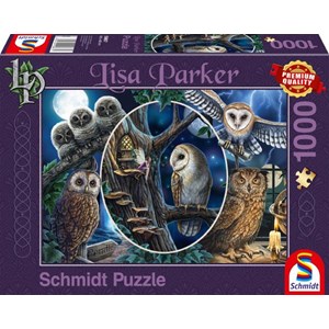 Schmidt Spiele (59667) - Lisa Parker: "Mysterious Owls" - 1000 brikker puslespil