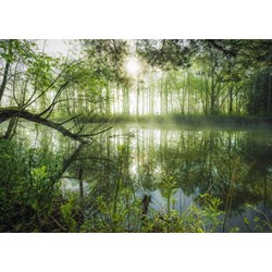 Schmidt Spiele (59670) - Stefan Hefele: "Homeland Jungle" - 1000 brikker puslespil