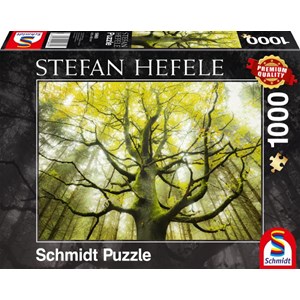 Schmidt Spiele (59669) - Stefan Hefele: "Dream Tree" - 1000 brikker puslespil