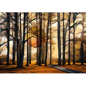 Schmidt Spiele (58396) - "Magical Forest" - 1000 brikker puslespil