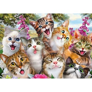 Schmidt Spiele (58391) - "Cat Selfie" - 500 brikker puslespil