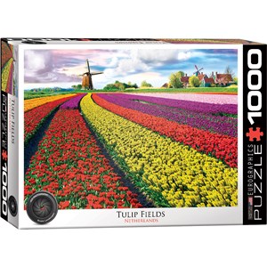 Eurographics (6000-5326) - "Tulip Field, Netherlands" - 1000 brikker puslespil