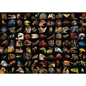 Ravensburger (15983) - "99 Stunning Animals" - 1000 brikker puslespil