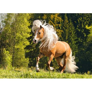 Ravensburger (15009) - "Horse" - 1000 brikker puslespil