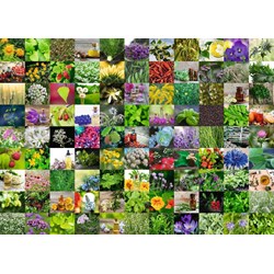 Ravensburger (15991) - "99 Herbs and Spices" - 1000 brikker puslespil