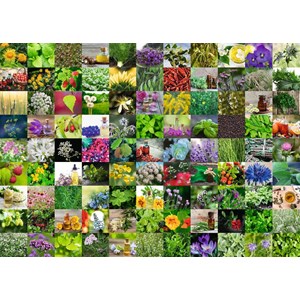 Ravensburger (15991) - "99 Herbs and Spices" - 1000 brikker puslespil