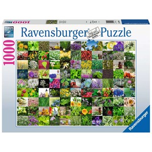 Ravensburger (15991) - "99 Herbs and Spices" - 1000 brikker puslespil