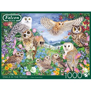 Falcon (11286) - Claire Comerford: "Ugler i skoven" - 1000 brikker puslespil