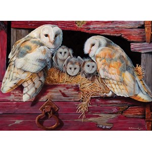 Cobble Hill (80052) - "Barn Owls" - 1000 brikker puslespil