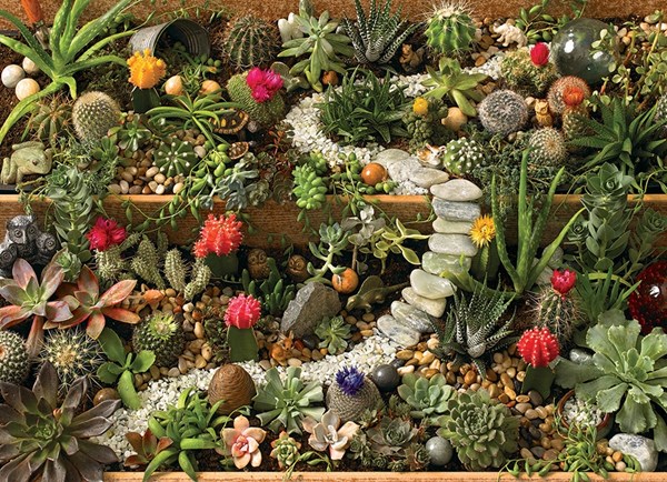 Cobble Hill (80157) - "Succulent Garden" - 1000 brikker puslespil