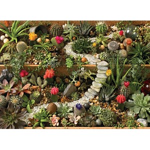 Cobble Hill (80157) - "Succulent Garden" - 1000 brikker puslespil