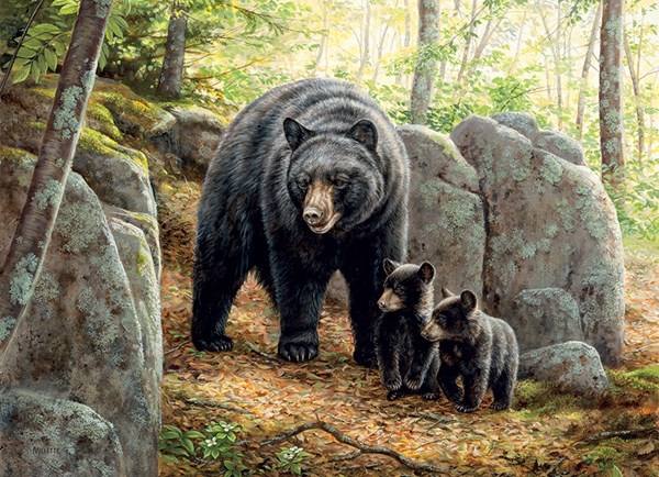 Cobble Hill (80154) - "Mama Bear" - 1000 brikker puslespil