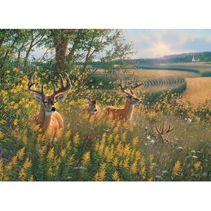 Cobble Hill (80092) - "Summer Deer" - 1000 brikker puslespil