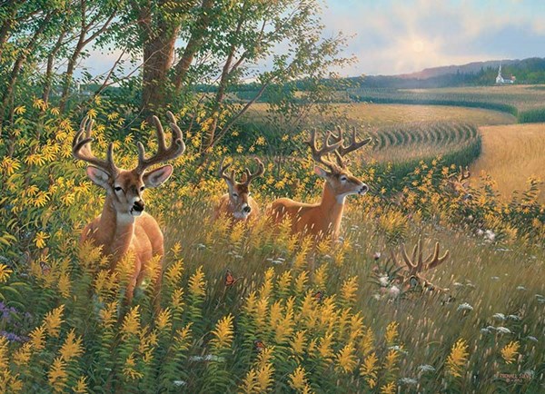 Cobble Hill (80092) - "Summer Deer" - 1000 brikker puslespil