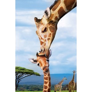 Eurographics (8251-0294) - "Giraffes" - 250 brikker puslespil