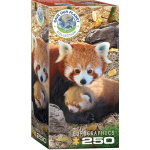 Eurographics (8251-5557) - "Red Pandas" - 250 brikker puslespil