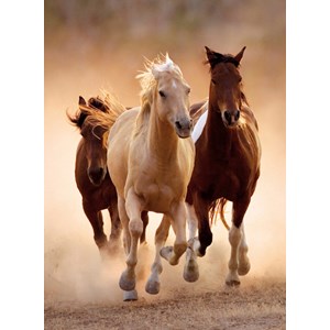 Clementoni (39168) - "Running Horses" - 1000 brikker puslespil