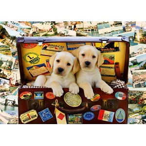 Bluebird Puzzle (70237) - "Two Travel Puppies" - 1000 brikker puslespil