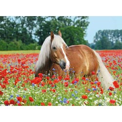 Ravensburger (14831) - "Horse in the Poppy Field" - 500 brikker puslespil
