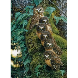 Cobble Hill (80018) - "Family Tree" - 1000 brikker puslespil