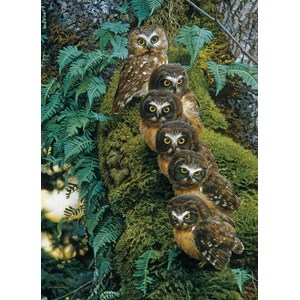 Cobble Hill (80018) - "Family Tree" - 1000 brikker puslespil