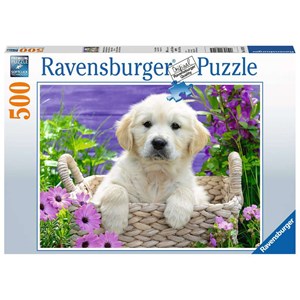Ravensburger (14829) - "Sweet Golden Retreiver" - 500 brikker puslespil