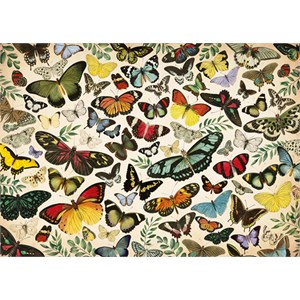 Falcon (18842) - "Butterfly Poster" - 1000 brikker puslespil