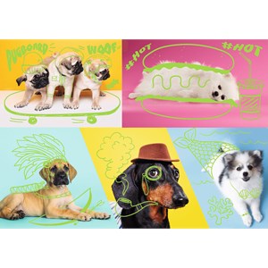 Trefl (10578) - "Far out dogs" - 1000 brikker puslespil