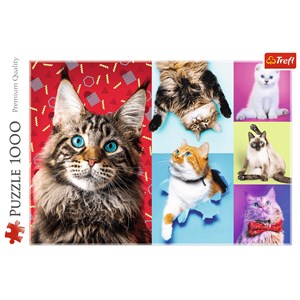Trefl (10591) - "Happy cats" - 1000 brikker puslespil