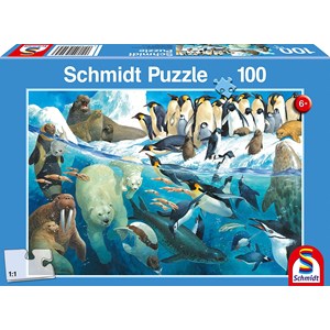 Schmidt Spiele (56295) - "Polar Animals Circle" - 100 brikker puslespil