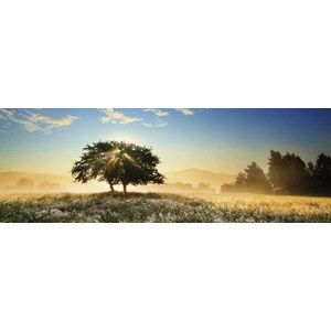 Heye (29901) - "Play of Light" - 1000 brikker puslespil