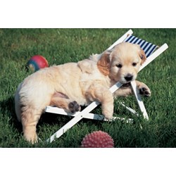 Ravensburger (14956) - "Easy Cuddly" - 204 brikker puslespil